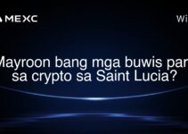 Mayroon bang mga buwis para sa crypto sa Saint Lucia?