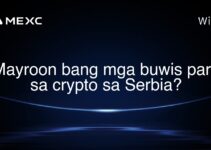 Mayroon bang mga buwis para sa crypto sa Serbia?