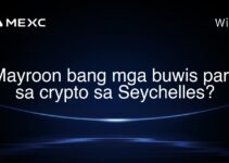 Mayroon bang mga buwis para sa crypto sa Seychelles?