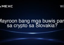 Mayroon bang mga buwis para sa crypto sa Slovakia?