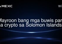 Mayroon bang mga buwis para sa crypto sa Solomon Islands?