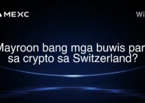 Mayroon bang mga buwis para sa crypto sa Switzerland?