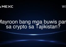 Mayroon bang mga buwis para sa crypto sa Tajikistan?