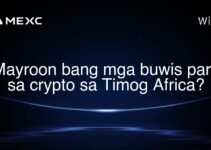Mayroon bang mga buwis para sa crypto sa Timog Africa?