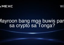 Mayroon bang mga buwis para sa crypto sa Tonga?