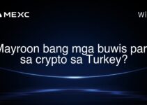 Mayroon bang mga buwis para sa crypto sa Turkey?