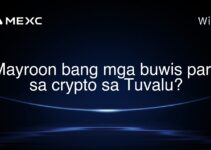 Mayroon bang mga buwis para sa crypto sa Tuvalu?