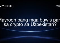 Mayroon bang mga buwis para sa crypto sa Uzbekistan?