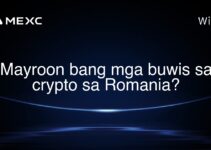 Mayroon bang mga buwis sa crypto sa Romania?