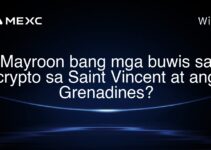 Mayroon bang mga buwis sa crypto sa Saint Vincent at ang Grenadines?