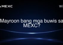Mayroon bang mga buwis sa MEXC?