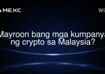 Mayroon bang mga kumpanya ng crypto sa Malaysia?