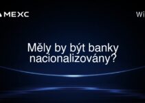 Měly by být banky nacionalizovány?