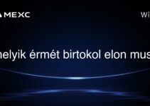 melyik érmét birtokol elon musk