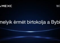 melyik érmét birtokolja a Bybit