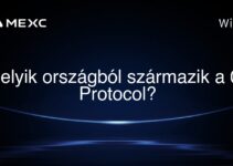 Melyik országból származik a 0x Protocol?