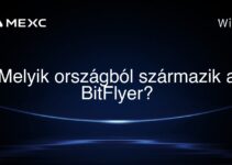 Melyik országból származik a BitFlyer?