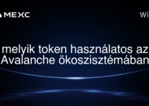 melyik token használatos az Avalanche ökoszisztémában