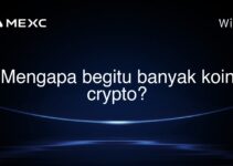 Mengapa begitu banyak koin crypto?