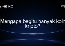 Mengapa begitu banyak koin kripto?