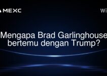 Mengapa Brad Garlinghouse bertemu dengan Trump?