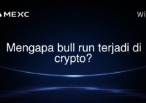 Mengapa bull run terjadi di crypto?