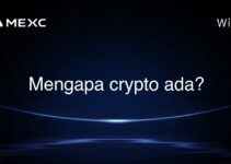 Mengapa crypto ada?