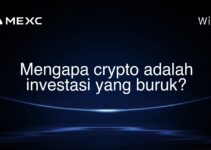 Mengapa crypto adalah investasi yang buruk?