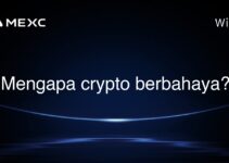 Mengapa crypto berbahaya?