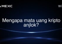 Mengapa mata uang kripto anjlok?