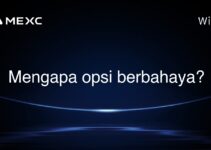 Mengapa opsi berbahaya?