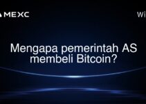 Mengapa pemerintah AS membeli Bitcoin?