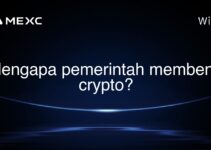 Mengapa pemerintah membenci crypto?