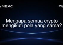 Mengapa semua crypto mengikuti pola yang sama?