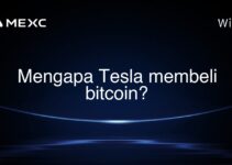 Mengapa Tesla membeli bitcoin?