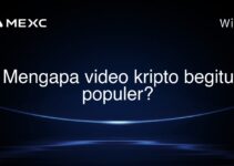 Mengapa video kripto begitu populer?
