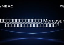 การเข้ารหัสใน Mercosur ถูกกฎหมายหรือไม่?