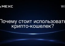 Есть ли налоги на криптовалюту в Сент-Китс и Невис?