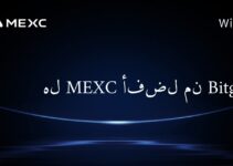 Является ли MEXC лучше, чем Bitget?
