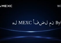Является ли MEXC лучше, чем Bybit?