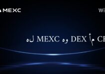 هل MEXC هو DEX أم CEX؟