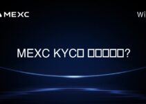 MEXC KYC는 필수인가요?