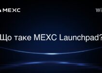 什麼是 MEXC Launchpad？