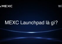 MEXC Launchpad là gì?