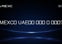 MEXC는 UAE에서 사용할 수 있나요?