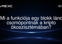 Mi a funkciója egy blokk lánc csomópontnak a kripto ökoszisztémában?