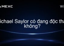 Michael Saylor có đang độc thân không?