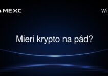 Mieri krypto na pád?