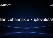 Miért zuhannak a kriptovaluták?
