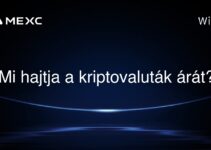 Mi hajtja a kriptovaluták árát?